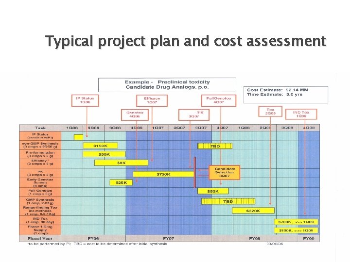 Typical project plan and cost assessment 