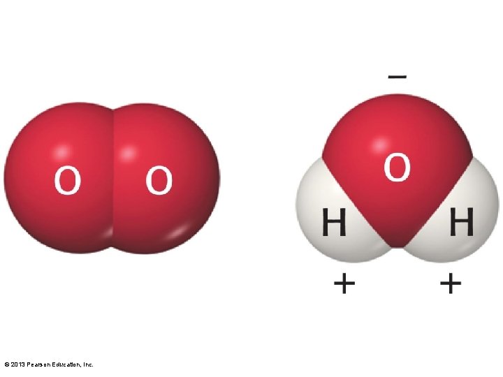 © 2013 Pearson Education, Inc. 