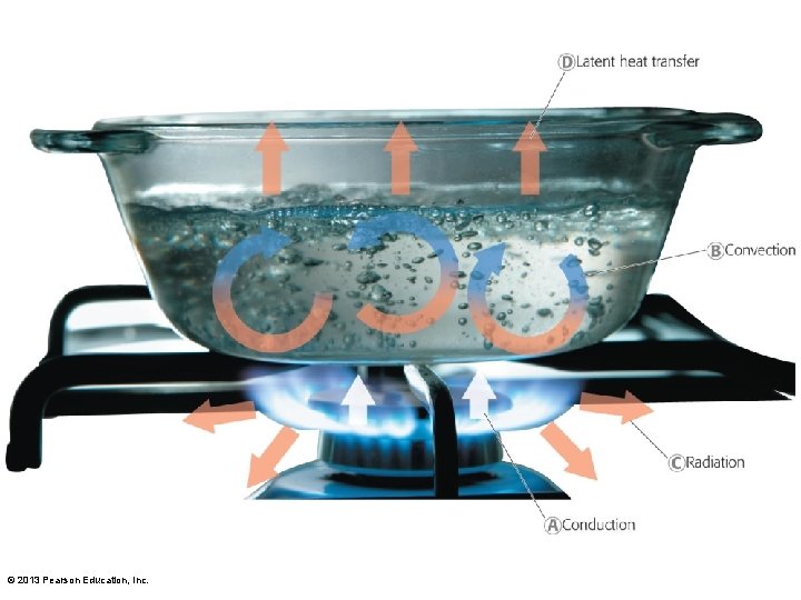 © 2013 Pearson Education, Inc. 