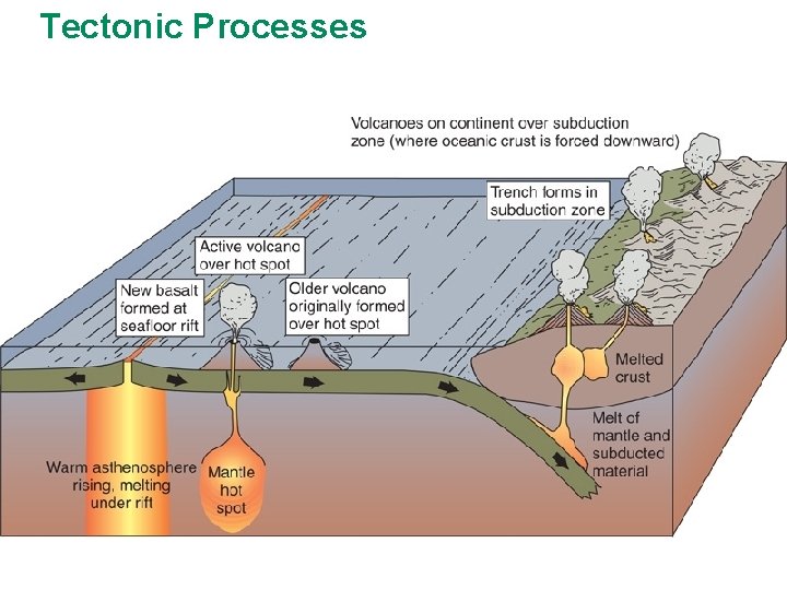 Tectonic Processes 