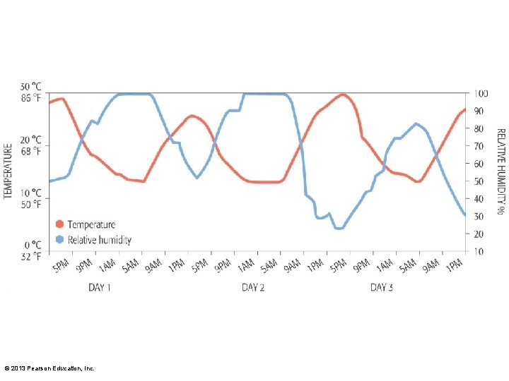 © 2013 Pearson Education, Inc. 