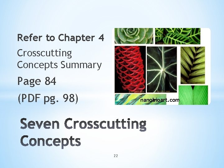 Refer to Chapter 4 Crosscutting Concepts Summary Page 84 (PDF pg. 98) nanobioart. com