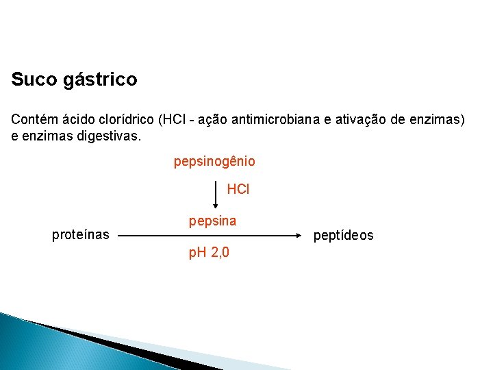 Suco gástrico Contém ácido clorídrico (HCl - ação antimicrobiana e ativação de enzimas) e