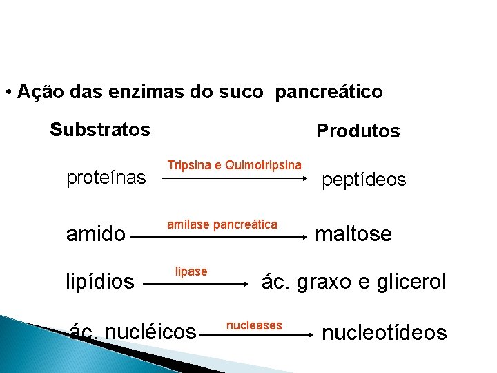 • Ação das enzimas do suco pancreático Substratos proteínas amido lipídios Produtos Tripsina