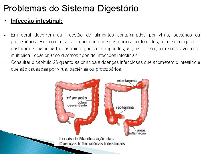 Problemas do Sistema Digestório • Infecção intestinal: - - Em geral decorrem da ingestão