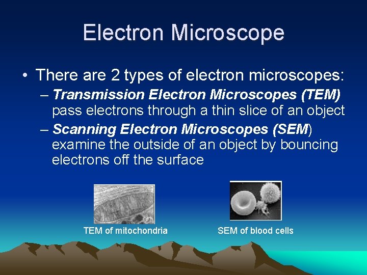 Electron Microscope • There are 2 types of electron microscopes: – Transmission Electron Microscopes