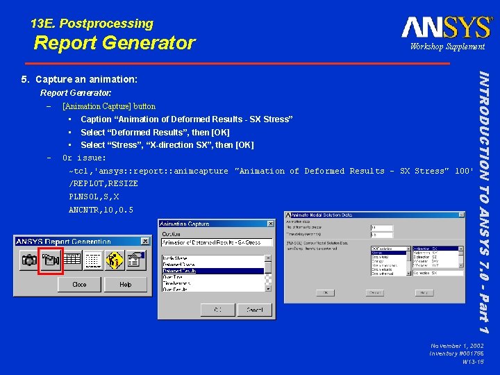 13 E. Postprocessing Report Generator Workshop Supplement Report Generator: – – [Animation Capture] button