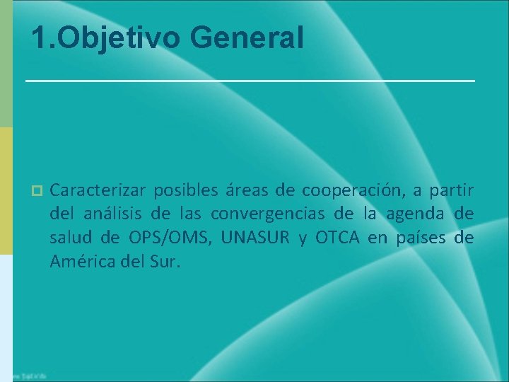 1. Objetivo General p Caracterizar posibles áreas de cooperación, a partir del análisis de