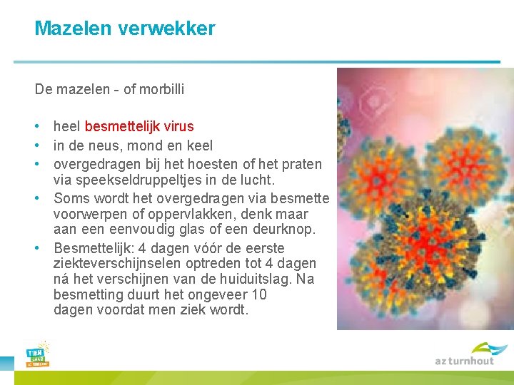 Mazelen verwekker De mazelen - of morbilli • heel besmettelijk virus • in de