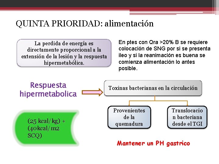 QUINTA PRIORIDAD: alimentación La perdida de energía es directamente proporcional a la extensión de