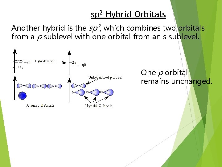 sp 2 Hybrid Orbitals Another hybrid is the sp 2, which combines two orbitals
