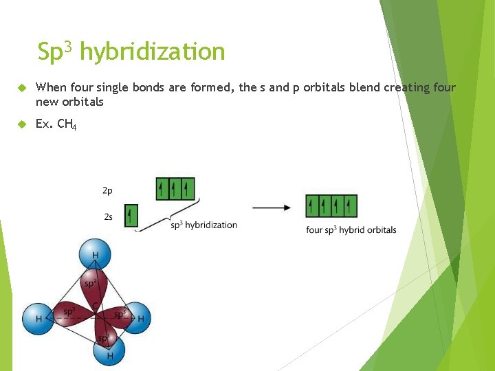 Sp 3 hybridization When four single bonds are formed, the s and p orbitals