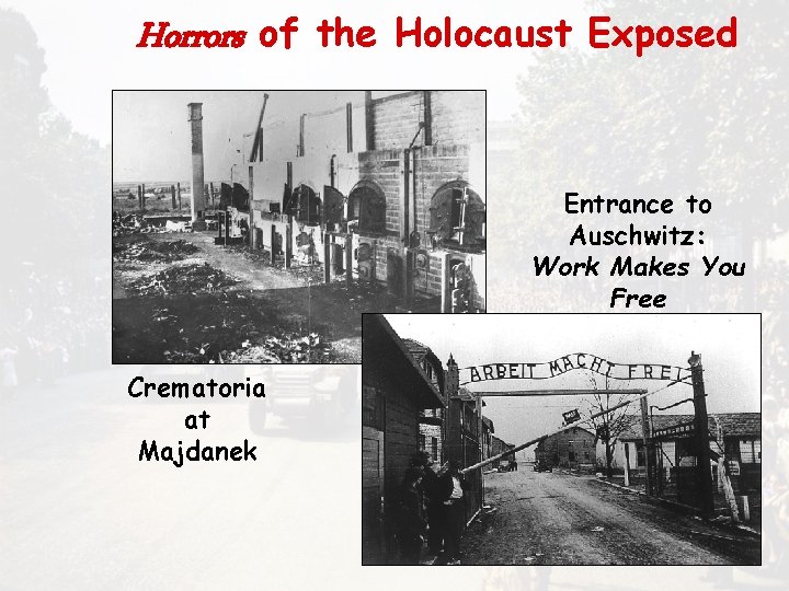 Horrors of the Holocaust Exposed Entrance to Auschwitz: Work Makes You Free Crematoria at