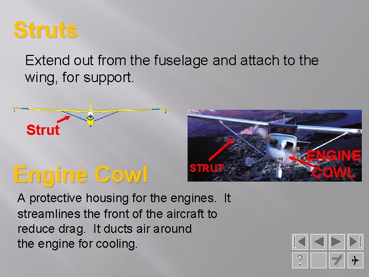 Struts Extend out from the fuselage and attach to the wing, for support. Strut