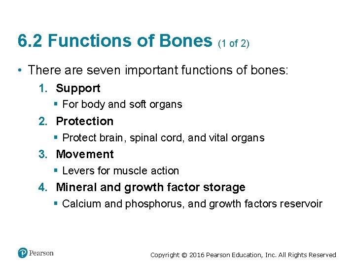 6. 2 Functions of Bones (1 of 2) • There are seven important functions