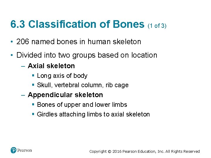 6. 3 Classification of Bones (1 of 3) • 206 named bones in human