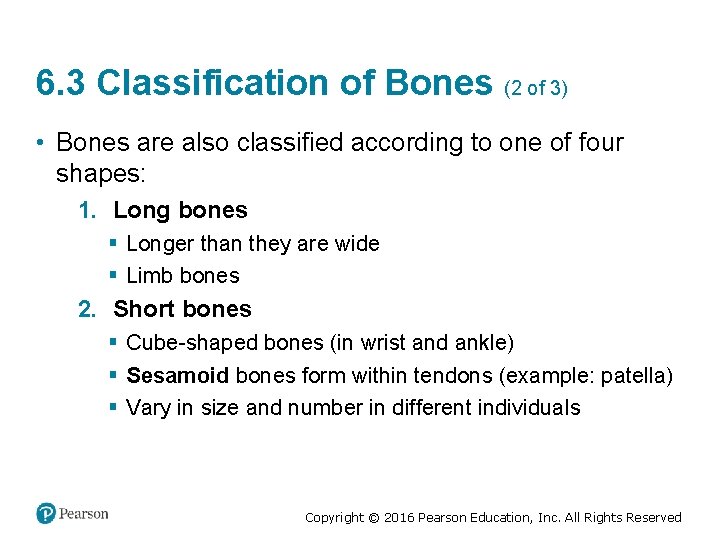 6. 3 Classification of Bones (2 of 3) • Bones are also classified according