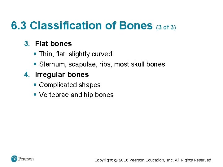 6. 3 Classification of Bones (3 of 3) 3. Flat bones § Thin, flat,