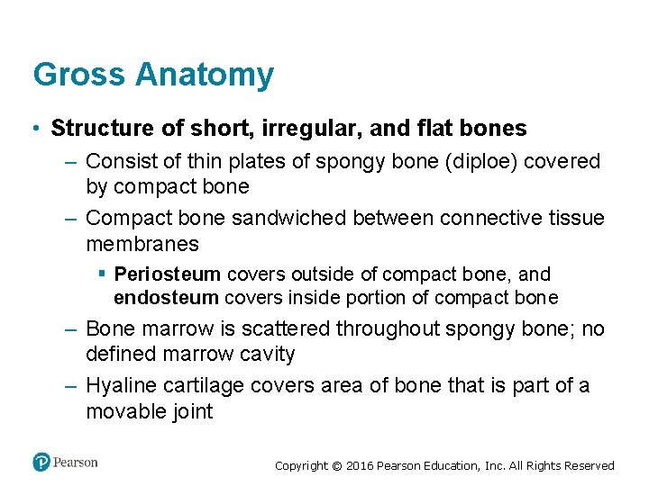 Gross Anatomy • Structure of short, irregular, and flat bones – Consist of thin