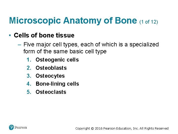 Microscopic Anatomy of Bone (1 of 12) • Cells of bone tissue – Five