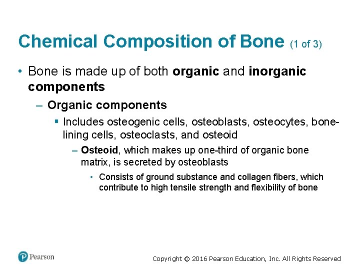 Chemical Composition of Bone (1 of 3) • Bone is made up of both