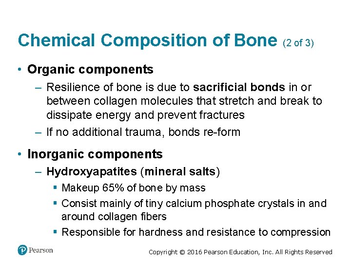 Chemical Composition of Bone (2 of 3) • Organic components – Resilience of bone