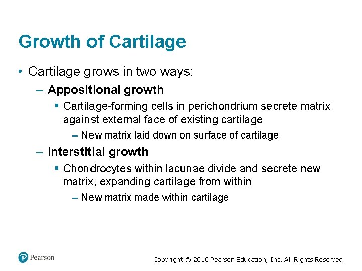 Growth of Cartilage • Cartilage grows in two ways: – Appositional growth § Cartilage-forming