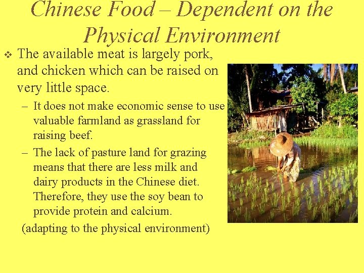 Chinese Food – Dependent on the Physical Environment v The available meat is largely Chinese Food – Dependent on the Physical Environment v The available meat is largely