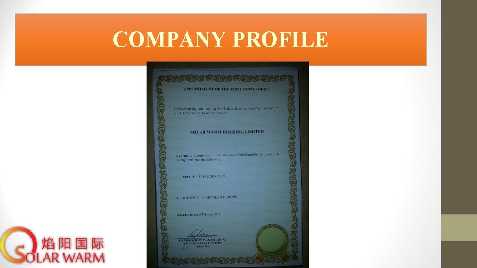 COMPANY PROFILE 