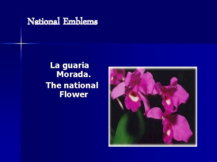 National Emblems La guaria Morada. The national Flower 