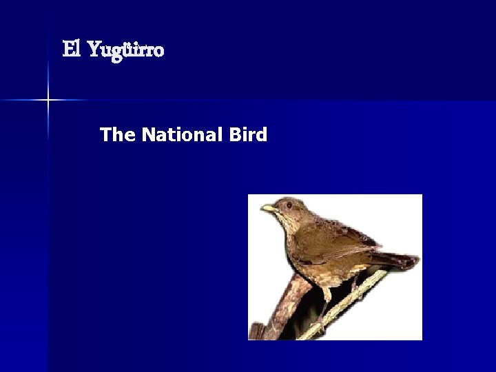 El Yugüirro The National Bird 