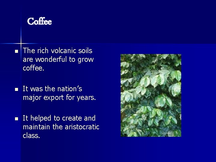 Coffee n The rich volcanic soils are wonderful to grow coffee. n It was
