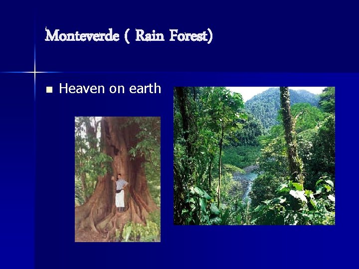 Monteverde ( Rain Forest) n Heaven on earth 