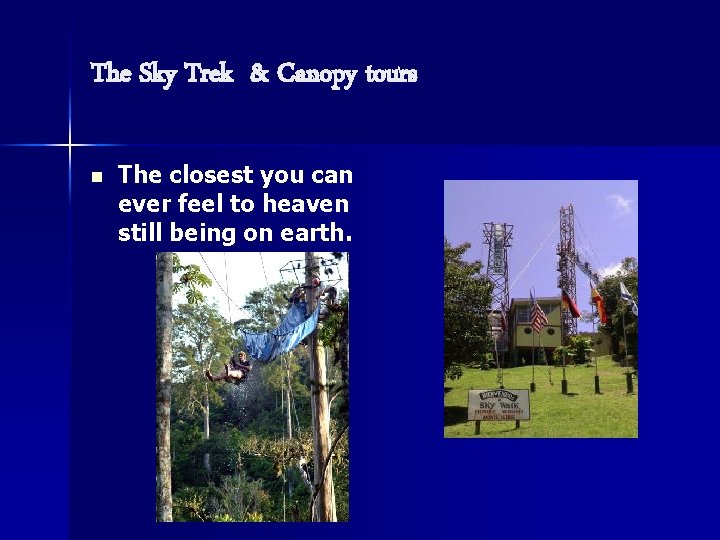 The Sky Trek & Canopy tours n The closest you can ever feel to