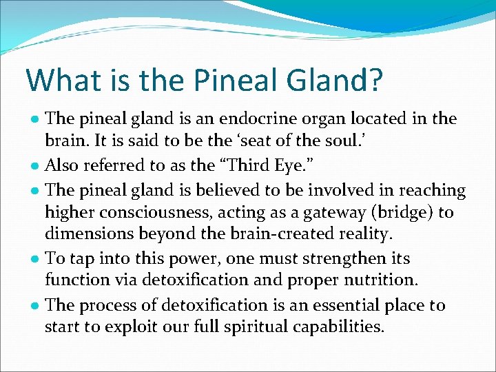 What is the Pineal Gland? ● The pineal gland is an endocrine organ located