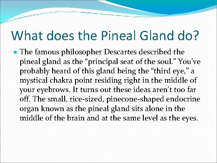 What does the Pineal Gland do? ● The famous philosopher Descartes described the pineal