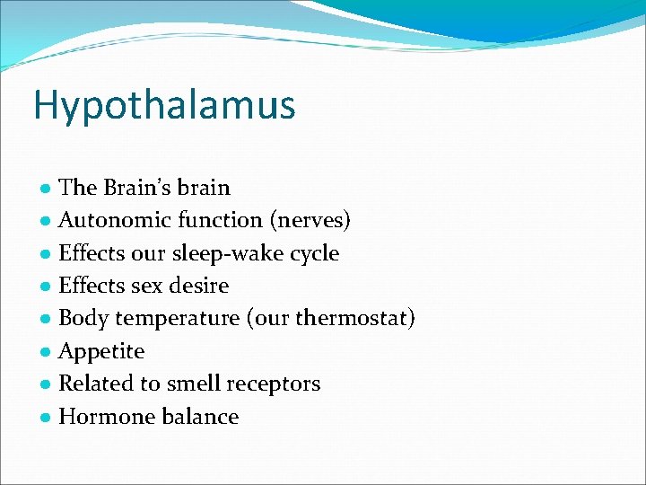 Hypothalamus ● The Brain’s brain ● Autonomic function (nerves) ● Effects our sleep-wake cycle