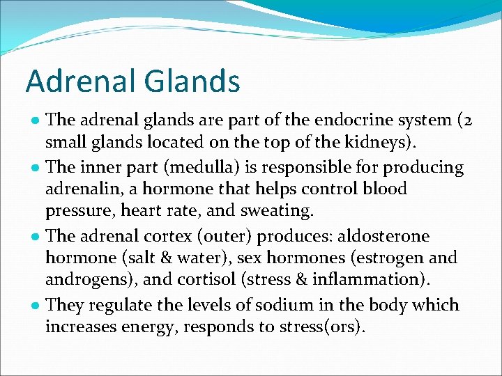 Adrenal Glands ● The adrenal glands are part of the endocrine system (2 small