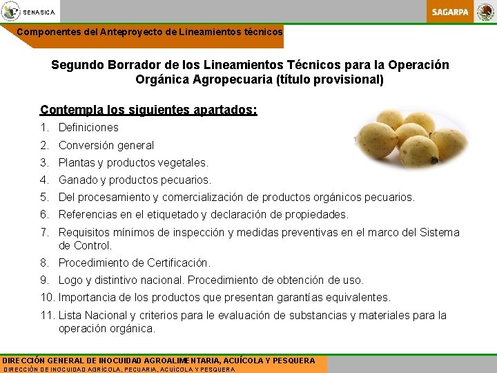 SENASICA Componentes del Anteproyecto de Lineamientos técnicos Segundo Borrador de los Lineamientos Técnicos para