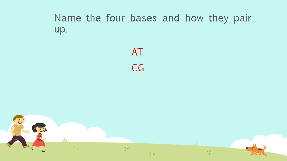 Name the four bases and how they pair up. AT CG 