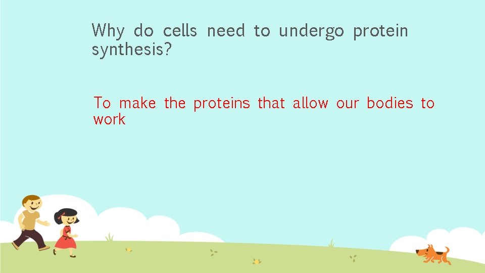 Why do cells need to undergo protein synthesis? To make the proteins that allow