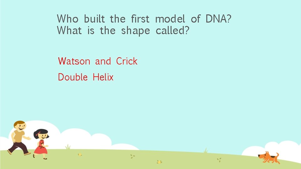 Who built the first model of DNA? What is the shape called? Watson and
