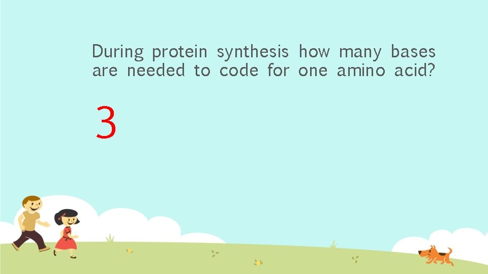During protein synthesis how many bases are needed to code for one amino acid?