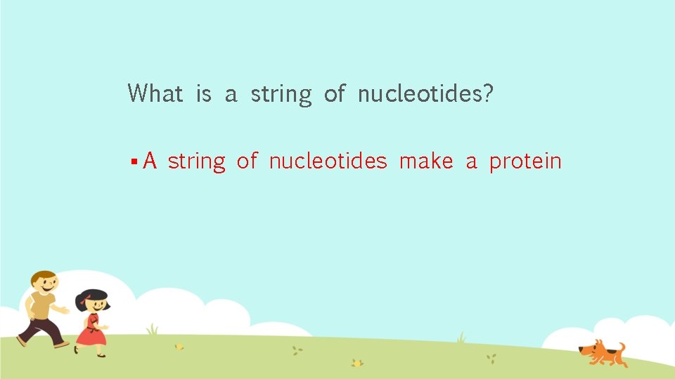 What is a string of nucleotides? §A string of nucleotides make a protein 