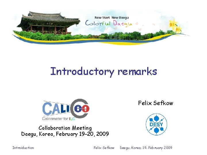 Introductory remarks Felix Sefkow Collaboration Meeting Daegu, Korea, February 19 -20, 2009 Introiduction Felix