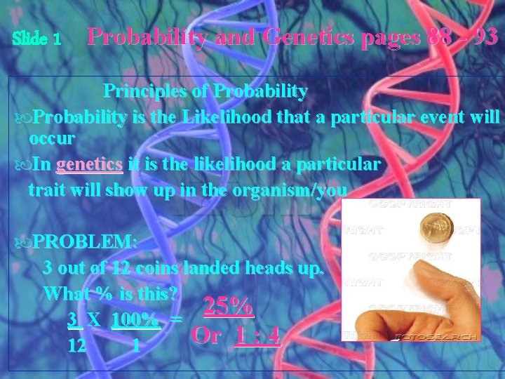 Slide 1 Probability and Genetics pages 88 - 93 Principles of Probability is the