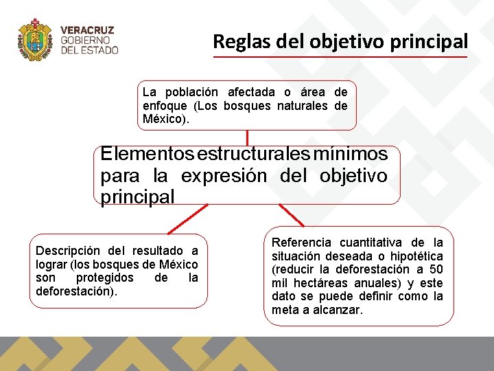 Reglas del objetivo principal La población afectada o área de enfoque (Los bosques naturales