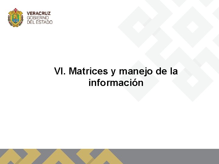 VI. Matrices y manejo de la información 