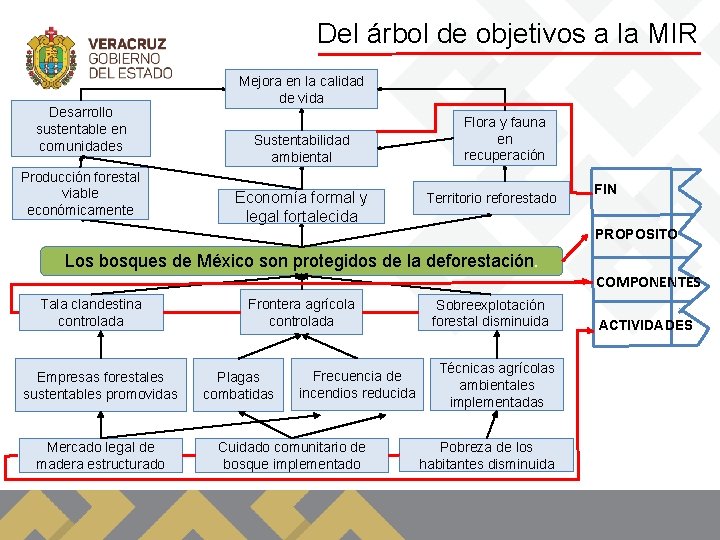 Del árbol de objetivos a la MIR Desarrollo sustentable en comunidades Producción forestal viable