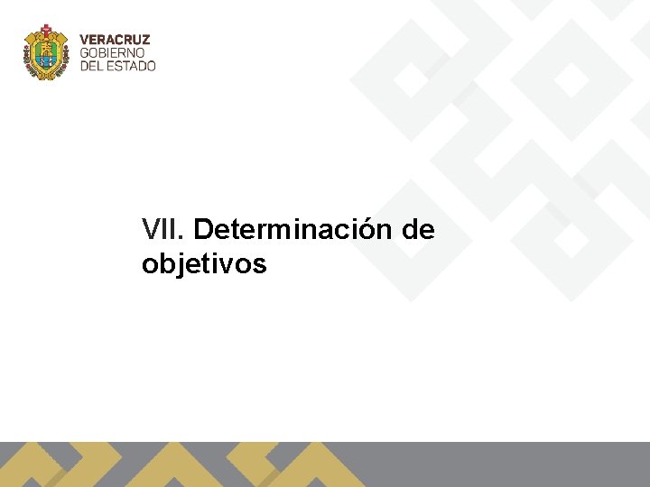 VII. Determinación de objetivos 